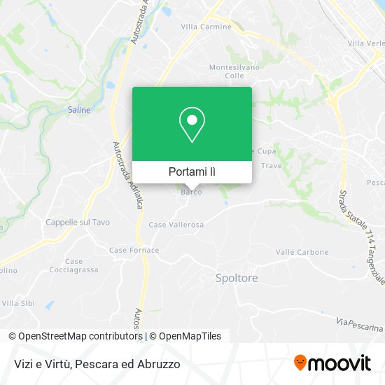 Mappa Vizi e Virtù
