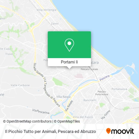 Mappa Il Picchio Tutto per Animali