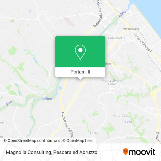 Mappa Magnolia Consulting