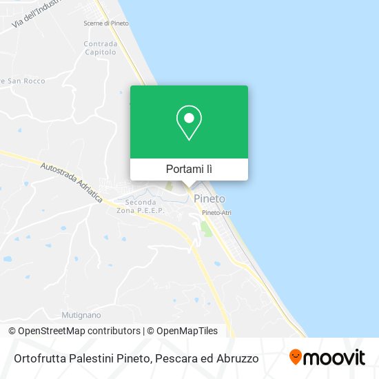 Mappa Ortofrutta Palestini Pineto