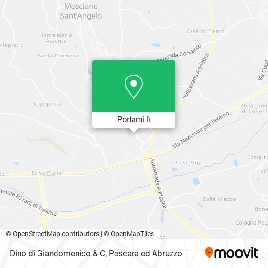 Mappa Dino di Giandomenico & C