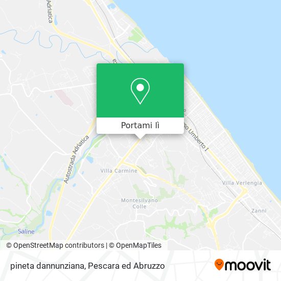 Mappa pineta dannunziana