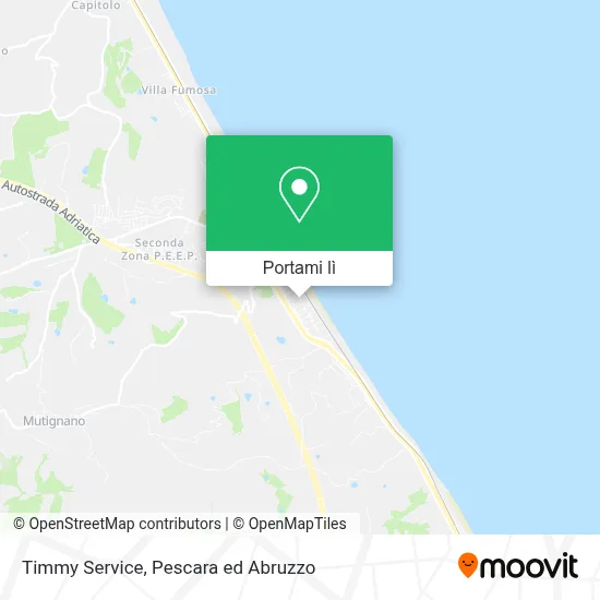Mappa Timmy Service