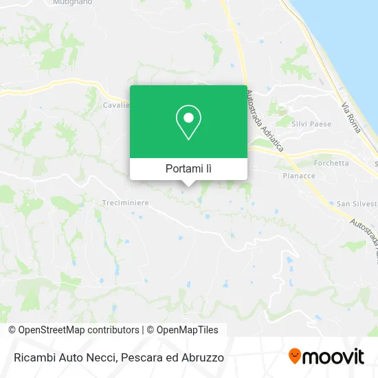 Mappa Ricambi Auto Necci