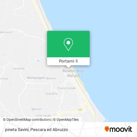 Mappa pineta Savini