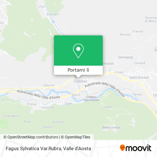 Mappa Fagus Sylvatica Var.Rubra