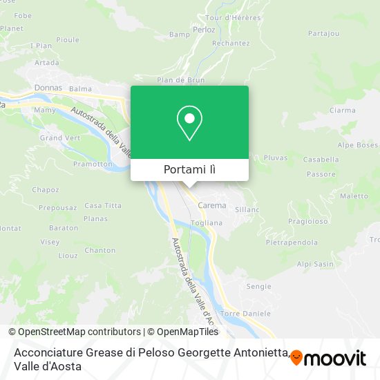 Mappa Acconciature Grease di Peloso Georgette Antonietta