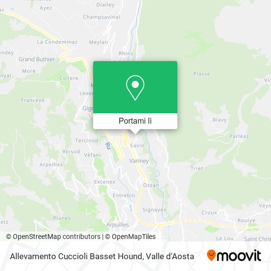 Mappa Allevamento Cuccioli Basset Hound