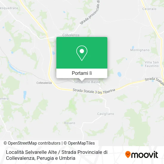 Mappa Località Selvarelle Alte / Strada Provinciale di Collevalenza