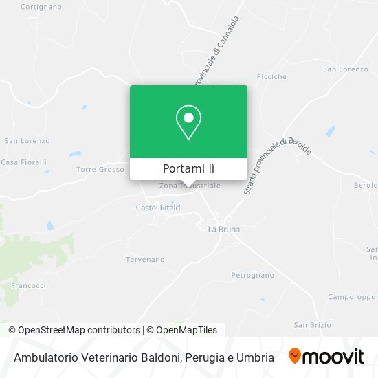 Mappa Ambulatorio Veterinario Baldoni