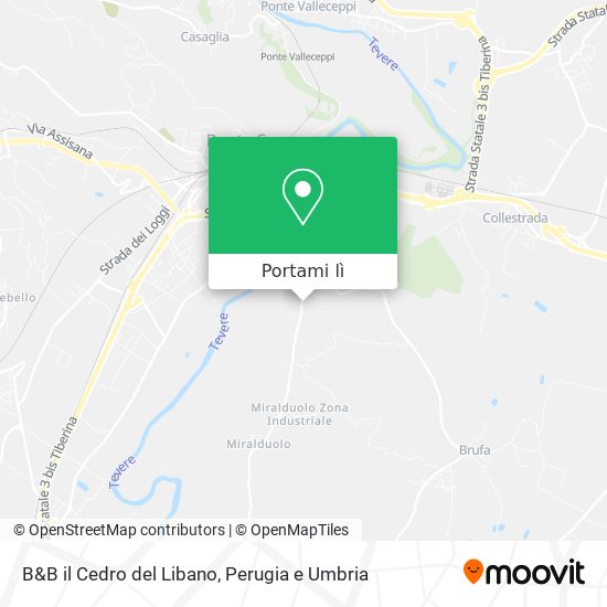 Mappa B&B il Cedro del Libano