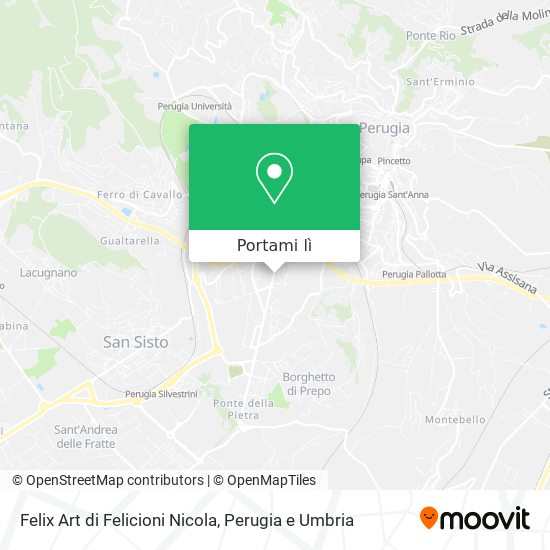 Mappa Felix Art di Felicioni Nicola