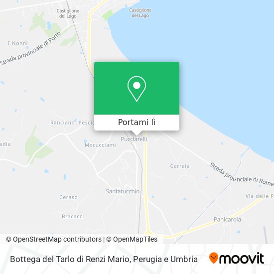 Mappa Bottega del Tarlo di Renzi Mario