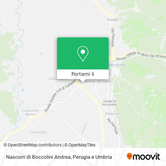 Mappa Nascom di Boccolini Andrea