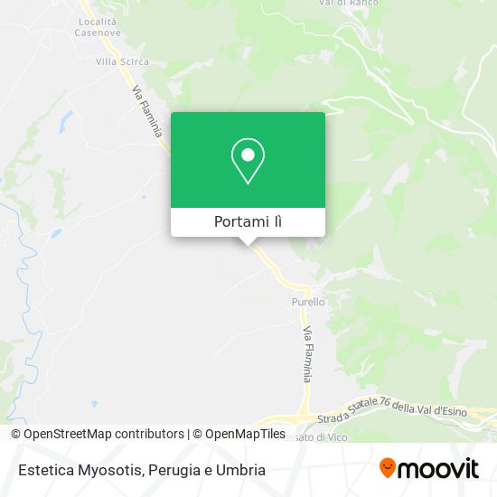 Mappa Estetica Myosotis