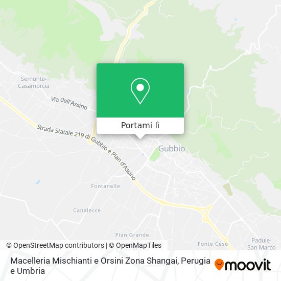 Mappa Macelleria Mischianti e Orsini Zona Shangai