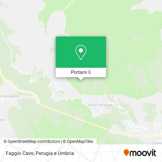 Mappa Faggio Cavo