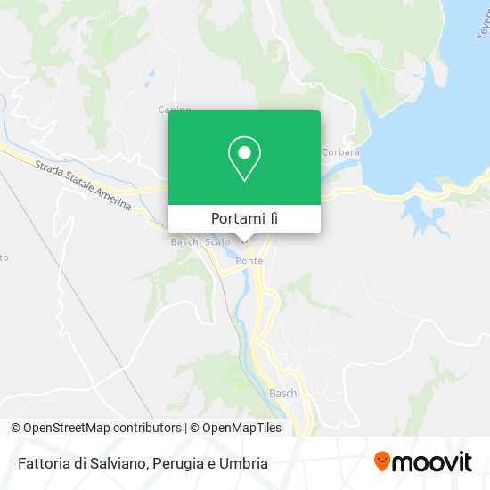 Mappa Fattoria di Salviano