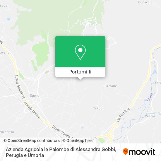 Mappa Azienda Agricola le Palombe di Alessandra Gobbi