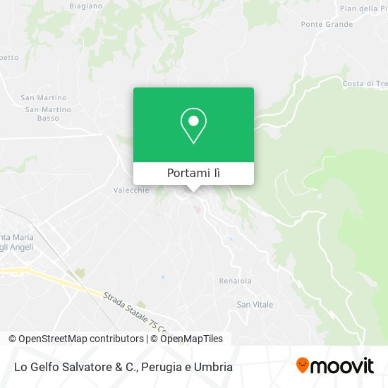 Mappa Lo Gelfo Salvatore & C.