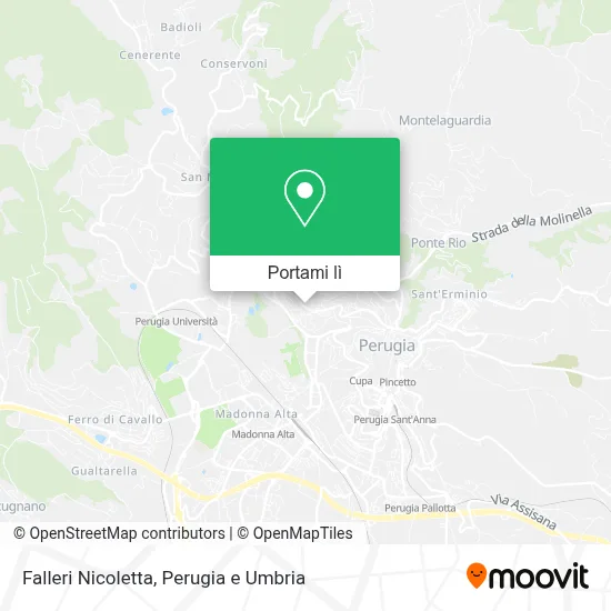 Mappa Falleri Nicoletta