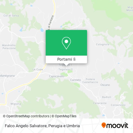Mappa Falco Angelo Salvatore