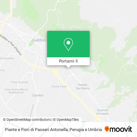 Mappa Piante e Fiori di Passeri Antonella