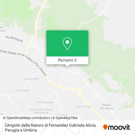 Mappa L'Angolo della Natura di Fernandez Gabriela Alicia