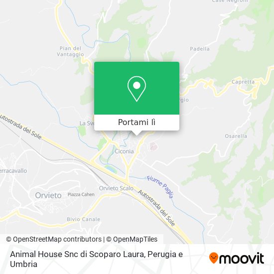 Mappa Animal House Snc di Scoparo Laura