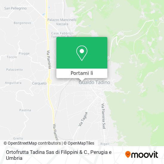 Mappa Ortofrutta Tadina Sas di Filippini & C.