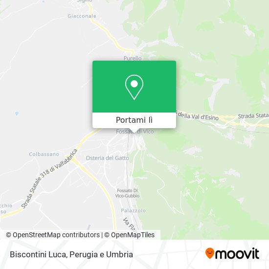 Mappa Biscontini Luca