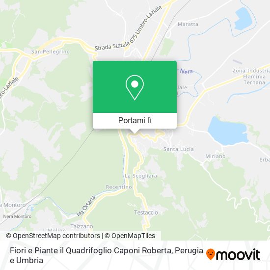 Mappa Fiori e Piante il Quadrifoglio Caponi Roberta