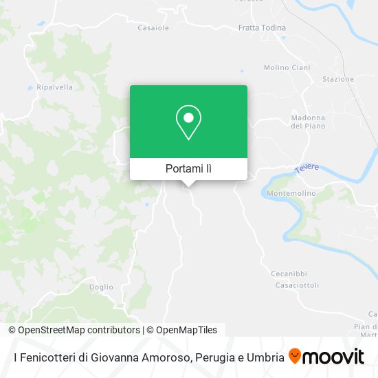 Mappa I Fenicotteri di Giovanna Amoroso