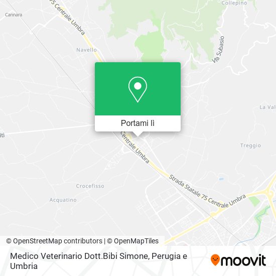 Mappa Medico Veterinario Dott.Bibi Simone