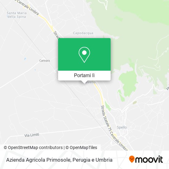 Mappa Azienda Agricola Primosole