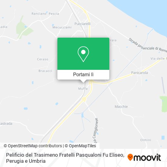 Mappa Pelificio del Trasimeno Fratelli Pasqualoni Fu Eliseo