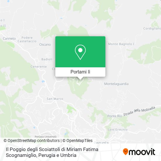 Mappa Il Poggio degli Scoiattoli di Miriam Fatima Scognamiglio