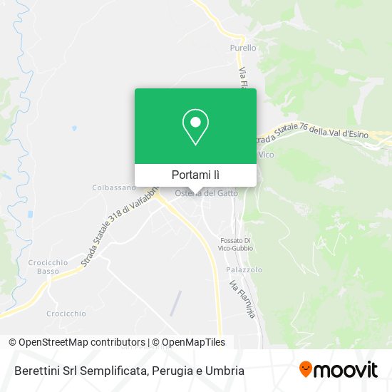 Mappa Berettini Srl Semplificata