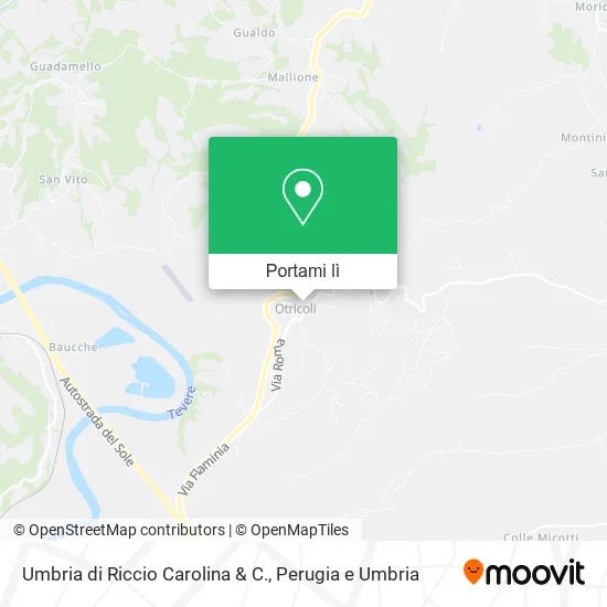 Mappa Umbria di Riccio Carolina & C.