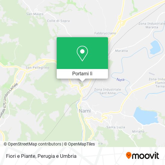 Mappa Fiori e Piante