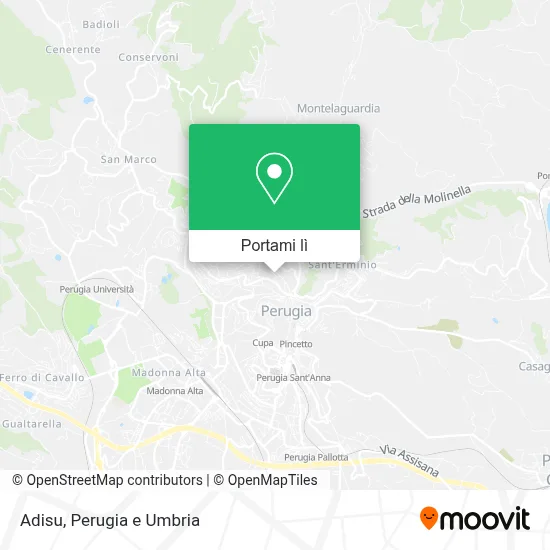 Mappa Adisu