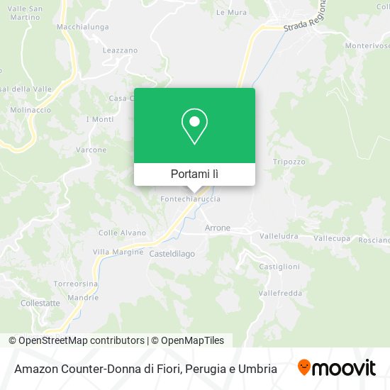 Mappa Amazon Counter-Donna di Fiori