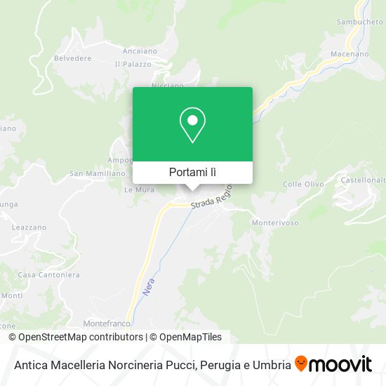 Mappa Antica Macelleria Norcineria Pucci