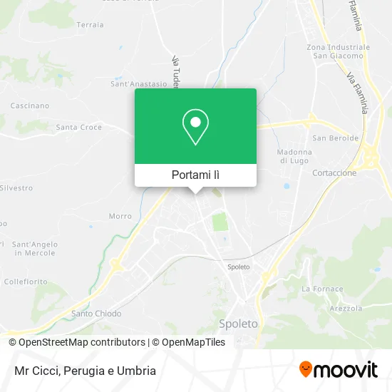 Mappa Mr Cicci