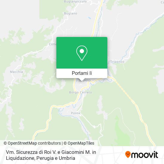 Mappa Vm. Sicurezza di Roi V. e Giacomini M. in Liquidazione