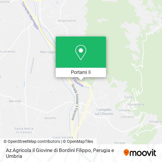 Mappa Az.Agricola il Giovine di Bordini Filippo