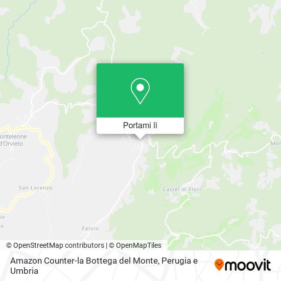 Mappa Amazon Counter-la Bottega del Monte