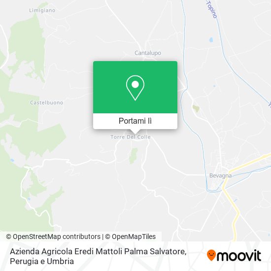 Mappa Azienda Agricola Eredi Mattoli Palma Salvatore