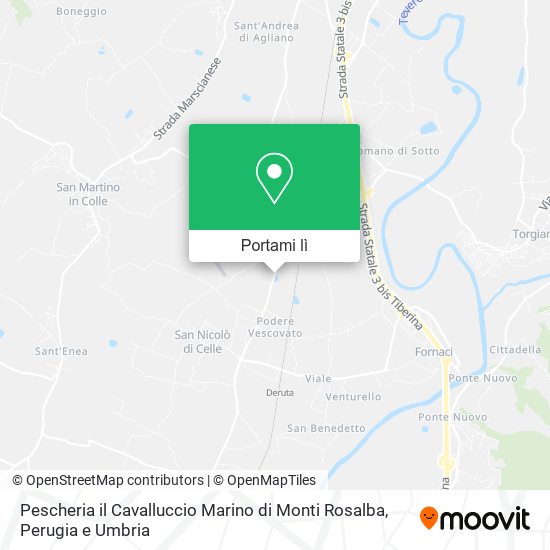 Mappa Pescheria il Cavalluccio Marino di Monti Rosalba