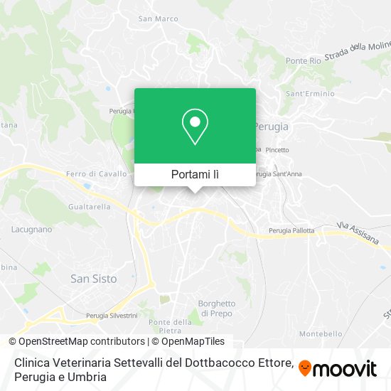 Mappa Clinica Veterinaria Settevalli del Dottbacocco Ettore